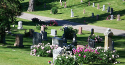 Adams Carlson Mortuary
